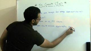 Sodium Currents in the Heart (Physiology 2nd Year) - AbdulRahman Ismaiel