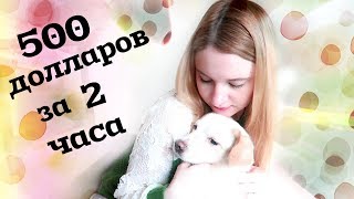 Южная Корея! Как я заработала 500 ДОЛЛАРОВ ЗА 2 ЧАСА!!!