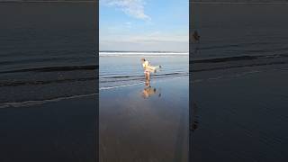 Spectacular TiRo😱😱#viral #video #pescando