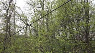 Chair lift in Tarzan park Latvia