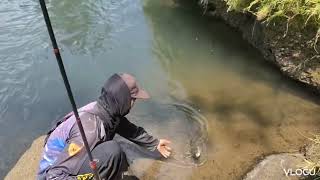 mancing ikan mahseer jenis tombro