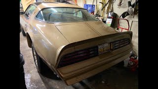 1978 Y88 Trans Am for sale tight space Pre Purchase inspection Car Appraisal Detroit Mi 810-694-2008