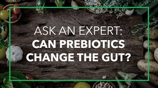 Can Prebiotics Really Change The Gut? Ask An Expert with Robert Martindale, MD, PhD