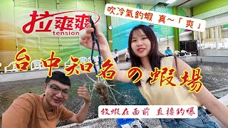 【台中知名蝦場】|釣公蝦拉爽爽|釣爆台中釣蝦場|吹冷氣釣蝦真爽|倒折標訊號|在熱也不怕|拉爽爽釣蝦場|台中釣蝦場|禁菸釣蝦場|倒折標天平|#釣蝦 #泰國蝦 #天平釣蝦#釣蝦拉爽爽#台灣釣蝦