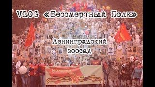 VLOG "Бессмертный полк": Ленинградский зоосад.