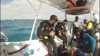 Diving in Cozumel, October 2016