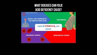 What diseases can folic acid deficiency cause? #folicacid #folate #vitamindeficiency #vitamins