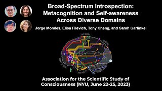 Symposium: Broad-Spectrum Introspection | ASSC26