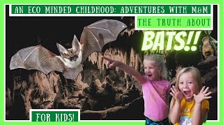 The Truth About Bats! All About Bats For Kids | Debunking Myths About Bats and Amazing Bat Facts!