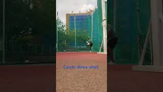 cricketing shot #taiwan #cricket #rohitsharma #viratkohli #sky