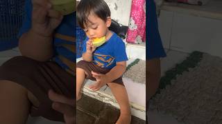 Adek suka banget makan semangka #shorts #funny #shortsviral #anaklucu #funnyvideo #semangka #buah