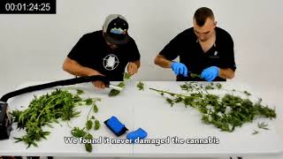 CannTrust   Wand Testimonial