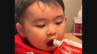 How to brush and floss teeth for toddlers