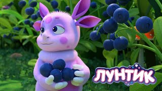 Лунтик | Ягодный сбор 🍓🍓🍓 Сборник мультиков для детей