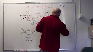 Borane and Borohydride