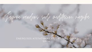 528 Hz viso kūno gijimas | emocinis ir fizinis atsigavimas | Japonų vandens sodo meditacinė muzika