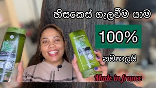 හිසකෙස් ගැලවීම නවතන sulfate free shampoo & conditioner සහ silicon hair scrub tool #thisubeauty #hair