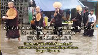 Giới Và Luật Phật giáo nguyên thuyTheravada/ phần 2 Giới theoThanh Tịnh Đạo/#23 Giới Phân Loại 1,2,3