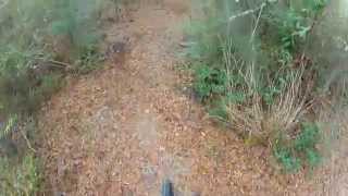 Last Mountain Bike Ride of 2014 on Da Bayou