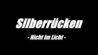 SILBERRÜCKEN - Nicht im Licht