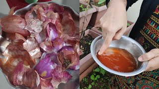 How to prepare Onion Peel Liquid Fertilizer for Plants? ಈರುಳ್ಳಿ ಸಿಪ್ಪೆಯಿಂದ ದ್ರವ ಗೊಬ್ಬರ ತಯಾರಿಸಿ..