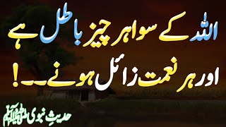 ALLAH Ke Siva Har Cheez Batil | Did the Prophet ﷺ like poetry? | Hadith | AQH Official