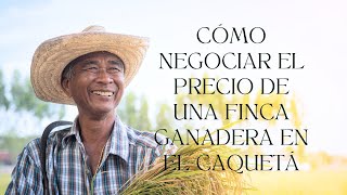 COMO NEGOCIAR EL PRECIO DE UNA FINCA GANADERA EN EL CAQUETÁ