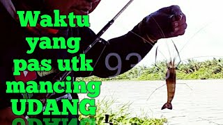 Akibat !!! Air Gonda Mancing Udang byk menangnya.