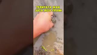 Ikan NgeFrank#Short