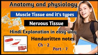 Muscle Tissue || Nervous Tissue || Anatomy & Physiology || Drishti Pharma