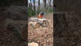 Spalted Maple Vs Chainsaw Mill | #chainsaw #diy #lumber #stihl #granberg #woodworking