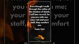 This Bible Verse Could Change Your Entire Day | Psalm 23:4  #verseoftheday