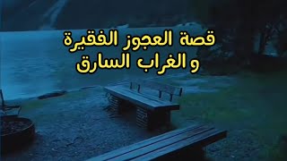 في عالم القصص : قصة العجوز الفقيرة و الغراب السارق 😓 #قصص #حكم #nature