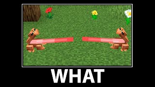 WAIT WHAT - Minecraft meme #3