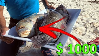 O PEIXE DE M$1000!!!