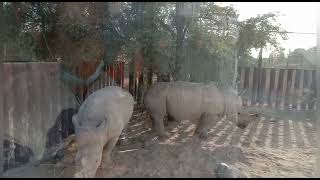 #Dubai #Safari Park #Part - 3