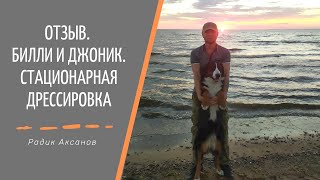 Отзыв. Стационарная дрессировка | Радик Аксанов