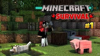 LET'S STARTED THE NEW JOURNEY OF MINECRAFT SURVIVAL | PT-1