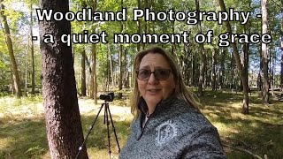 Woodland Photography - a quiet place of grace