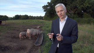 I have a bad case of diarrhea: the Julian Assange story