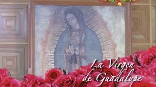 VisMoTV Misa y llegada de peregrinos en honor a la Virgen de Guadalupe