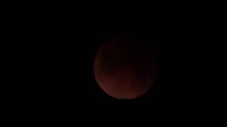 Super Blue Blood Moon