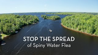 MAISRC | Stop Spiny Water Fleas