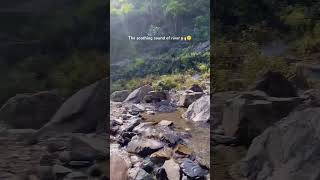 This spot is at chakrata road📍 #shorts #youtubeshorts #mountains #youtube