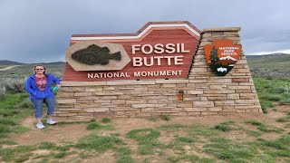 Fossil Butte National Monument