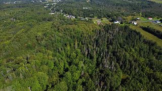 559 Chemin Leblanc | Saint-Andre-Leblanc, NB | 15 acres treed