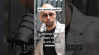 Are worms useful? #shorts #andrewtate