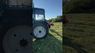 15.07.2024 #automobile #farming #сельскоехозяйство #кфх #поле #уборка #mtz #agriculture #коровы