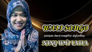 Ning umi Laila//wali songo||ponpes darul maghfur al khotiby @ULIK_BWI