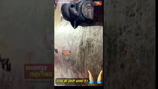 भगवान का चरणामृत समझ AC का पानी पी रहे लोग|गजब आस्था|VIRAL VIDEO of people who take AC waste water